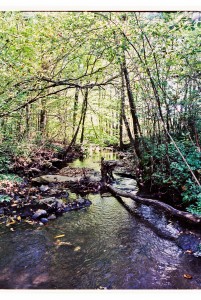 The pure water used to make Blue Ridge Distilling Compnay's Defiant American Single Malt Whisky.